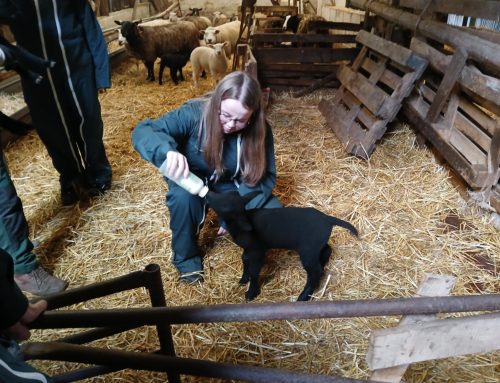 Visite Tom and Co